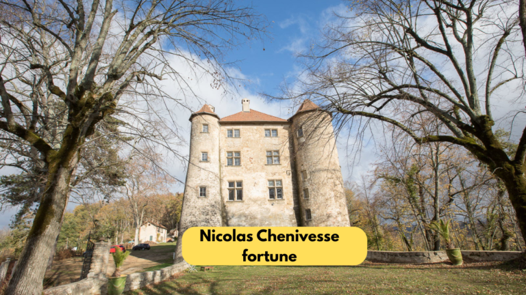 nicolas chenivesse fortune